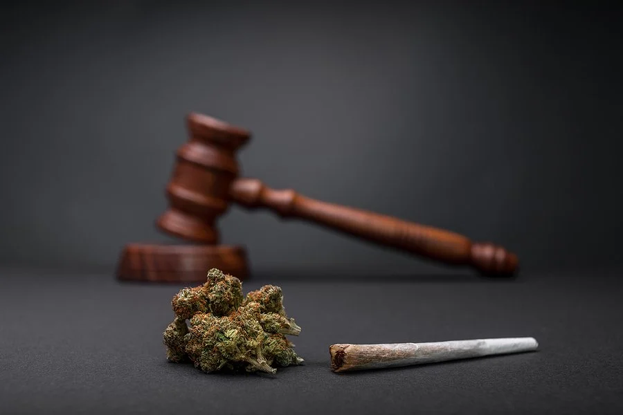 A gavel lying next to a representation of marijuana, starkly symbolizing the legal implications of drug test results.