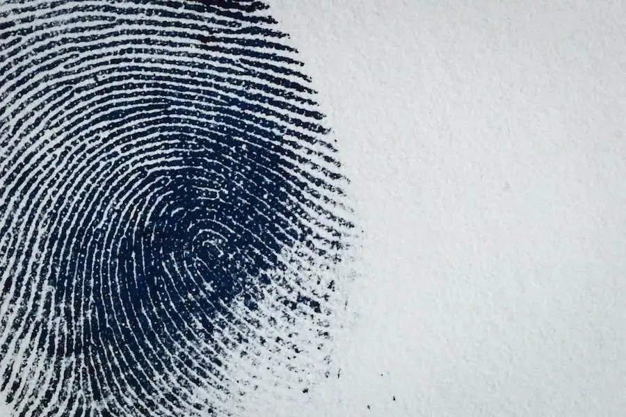 A snapshot of a fingerprint, symbolizing the crucial role of a Fort Pierce injunction lawyer when facing injunction issues.